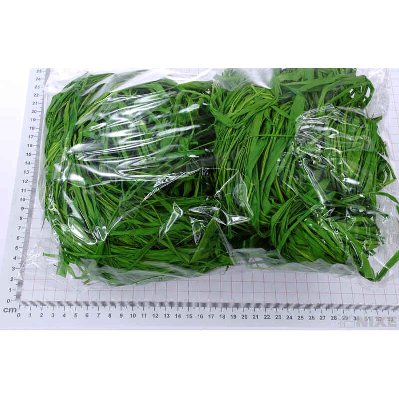 RAFIA 250g*ZELENÁ TM. C19