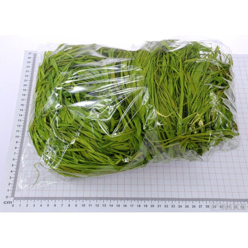 RAFIA 250g*ZELENÁ PISTÁCIE C15