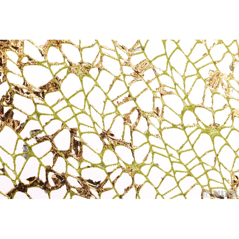 ROLE SPIDER CRUDE 48cmx5yd*ZELENÁ+ZLATÁ