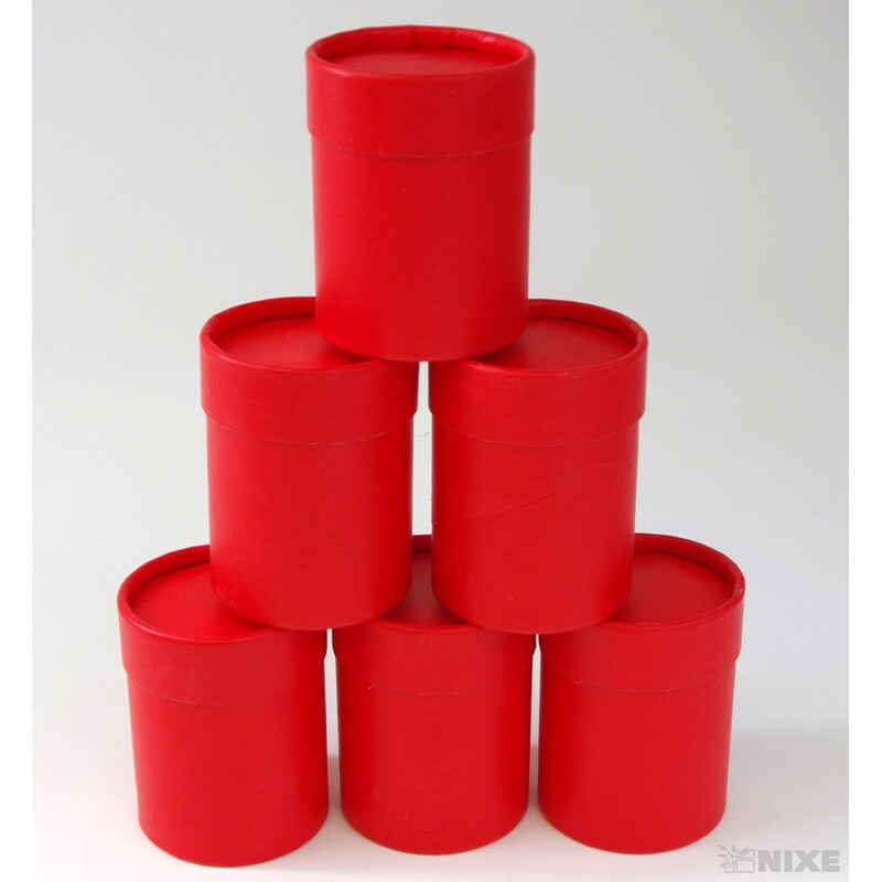 KVĚTINOVÝ BOX 6ks pr. 6,5x9,5cm*MIX BAREV