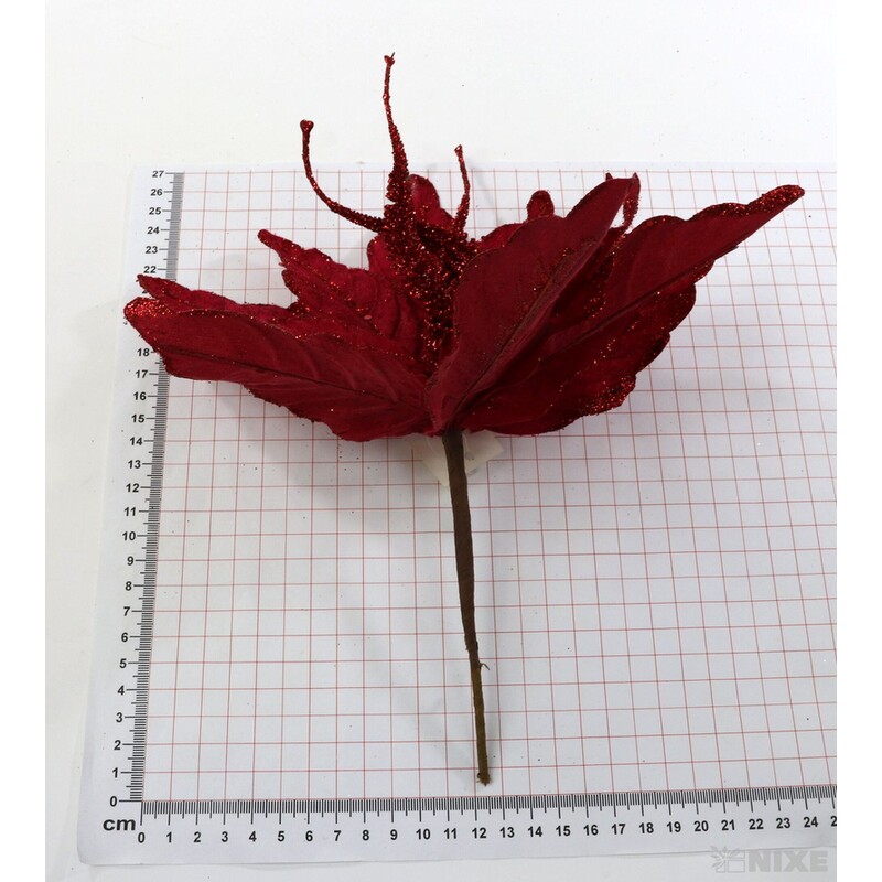 VĚTVIČKA 25cm*ČERVENÁ