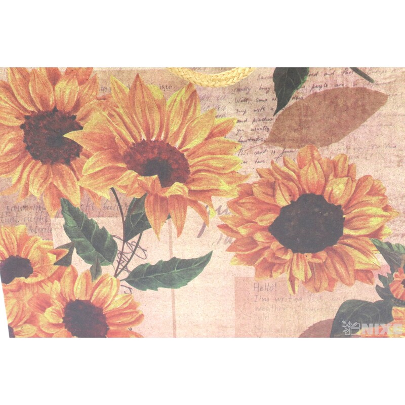 TAŠKA H 19x24x08cm*