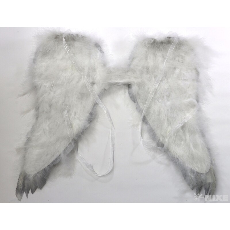 ANDĚLSKÁ KŘÍDLA 49x34cm*STŘÍBRNÁ