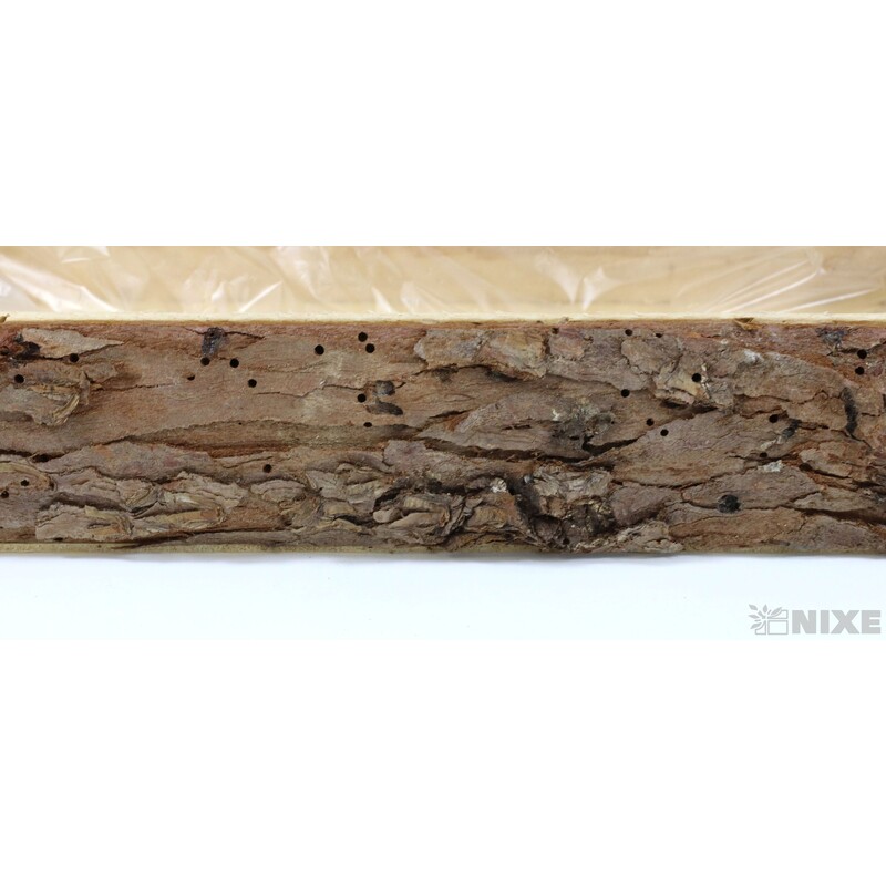 OBAL KŮRA OBDÉLNÍK 32x11x5cm*PŘÍRODNÍ