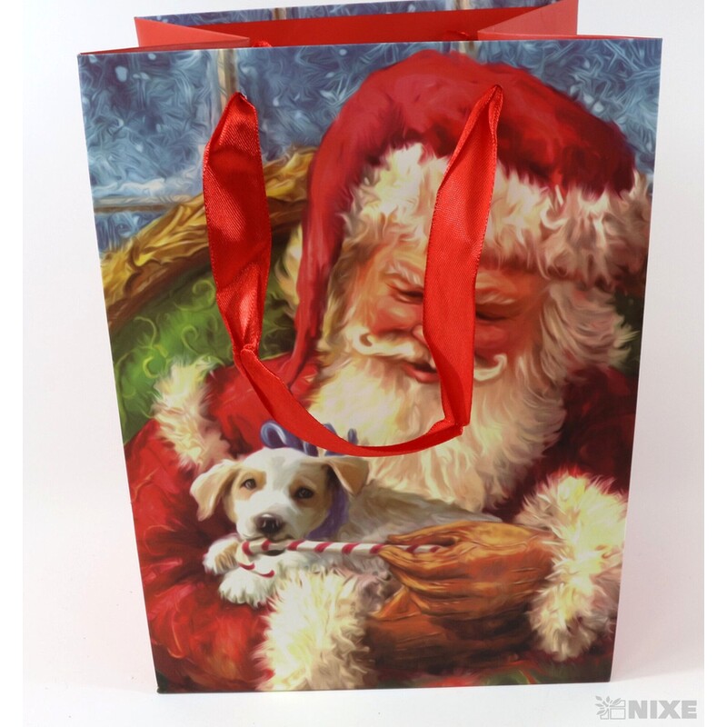 TAŠKA H SANTA 18x24x15cm*