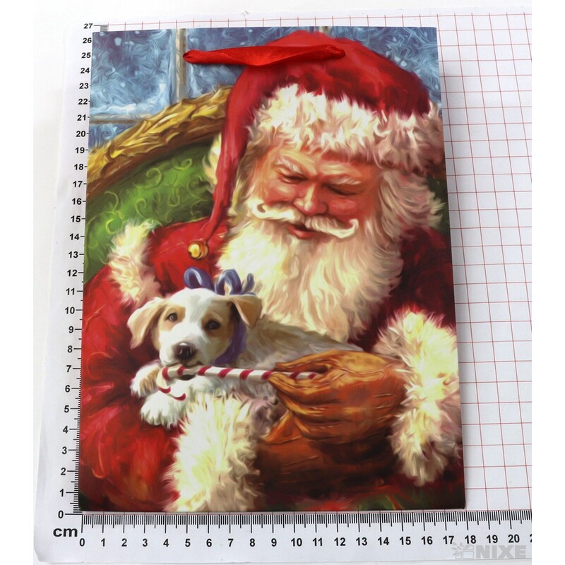 TAŠKA H SANTA 18x24x15cm*