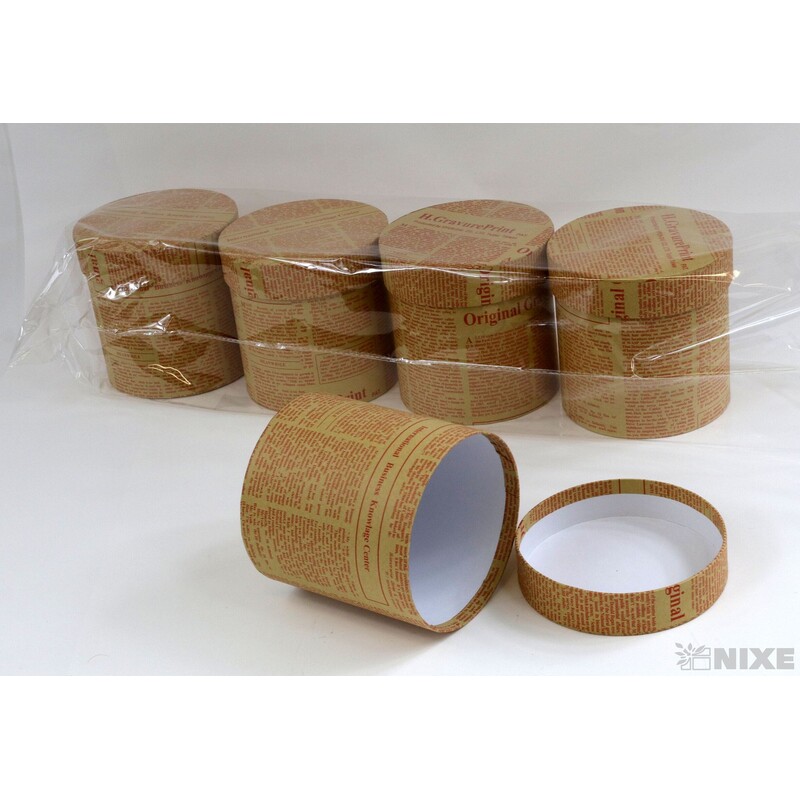 KVĚTINOVÝ BOX 5ks pr. 12x12cm*MIX BAREV