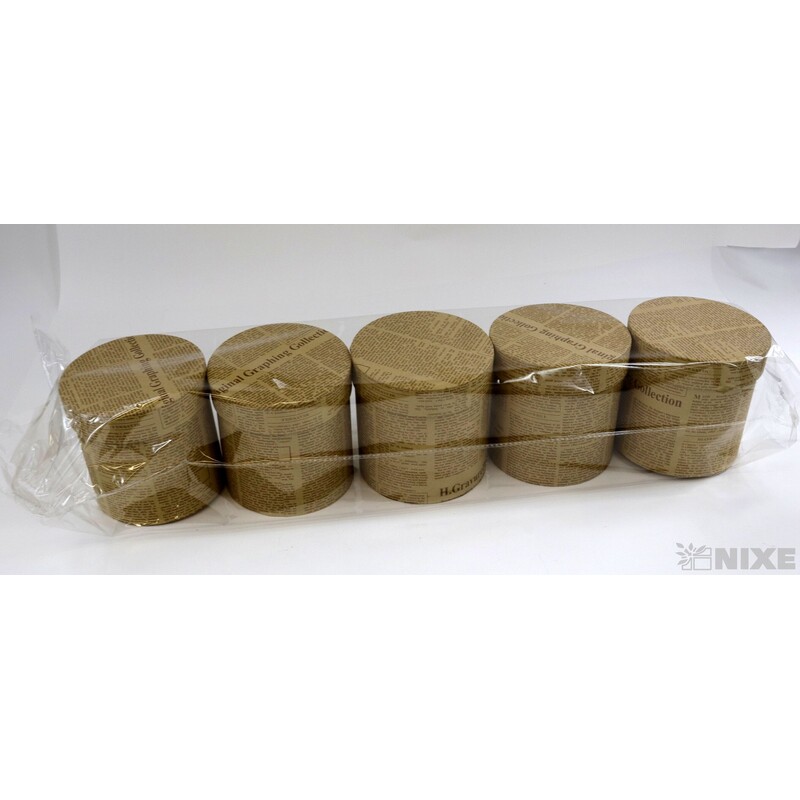 KVĚTINOVÝ BOX 5ks pr. 12x12cm*MIX BAREV