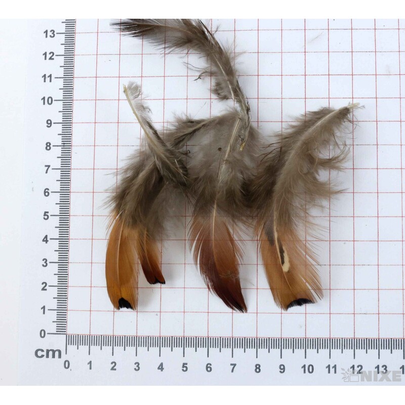 PEŘÍČKA BOX 16g*PŘÍRODNÍ