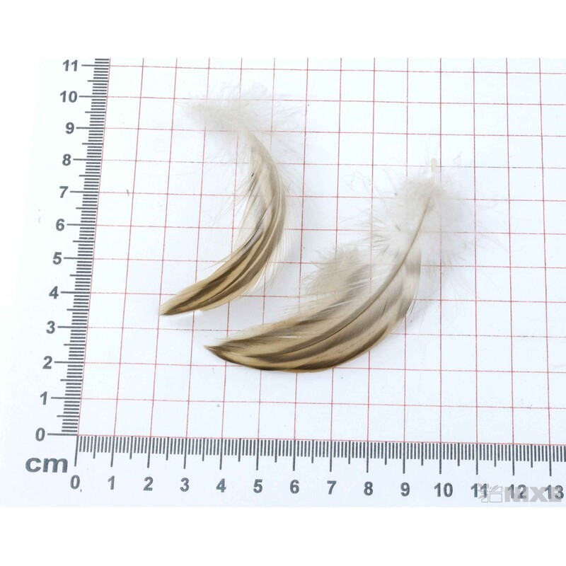 PEŘÍČKA BOX 16g*PŘÍRODNÍ