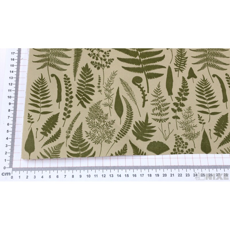 ROLE PAPÍR FOUGERES 80cmx50m*ZELENÁ