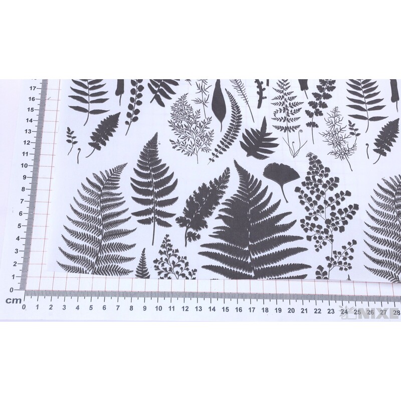 ROLE PAPÍR FOUGERES 80cmx50m*BÍLÁ