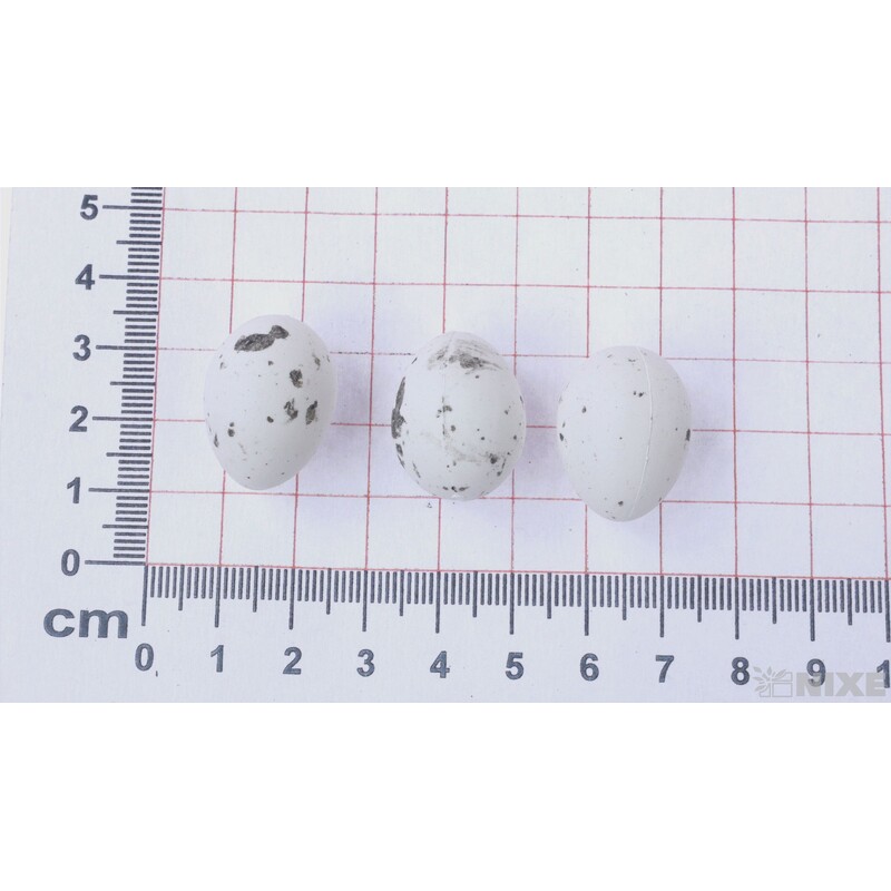 VAJÍČKA 96ks 2,5cm*BÍLÁ