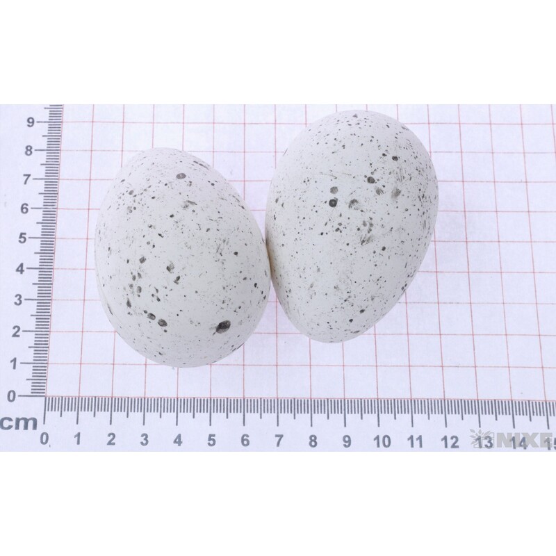 VAJÍČKA 12ks 7cm*BÍLÁ