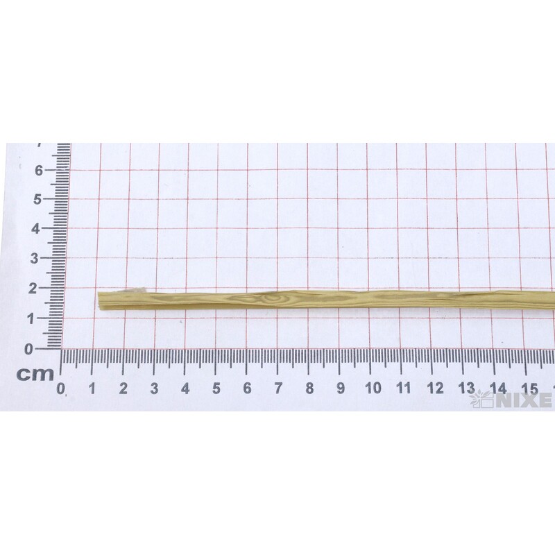 RAFIA BASIC WOODLY LEGNO 200m*KRÉMOVÁ 81