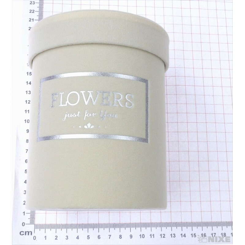 KVĚTINOVÝ BOX 12x14cm*KRÉMOVÁ
