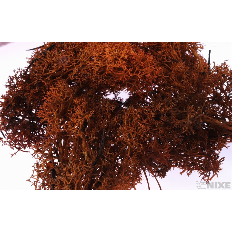 MECH 500g*ORANŽOVÁ