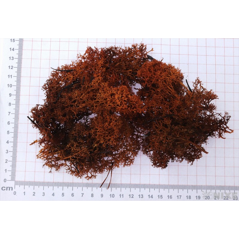 MECH 500g*ORANŽOVÁ