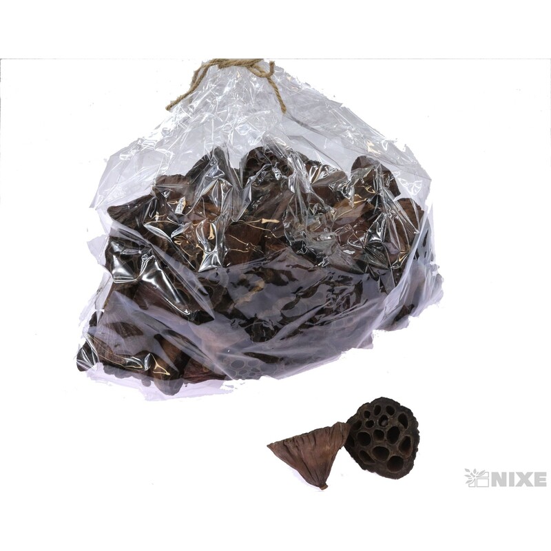 LOTOS 4-6cm 100ks*HNĚDÁ