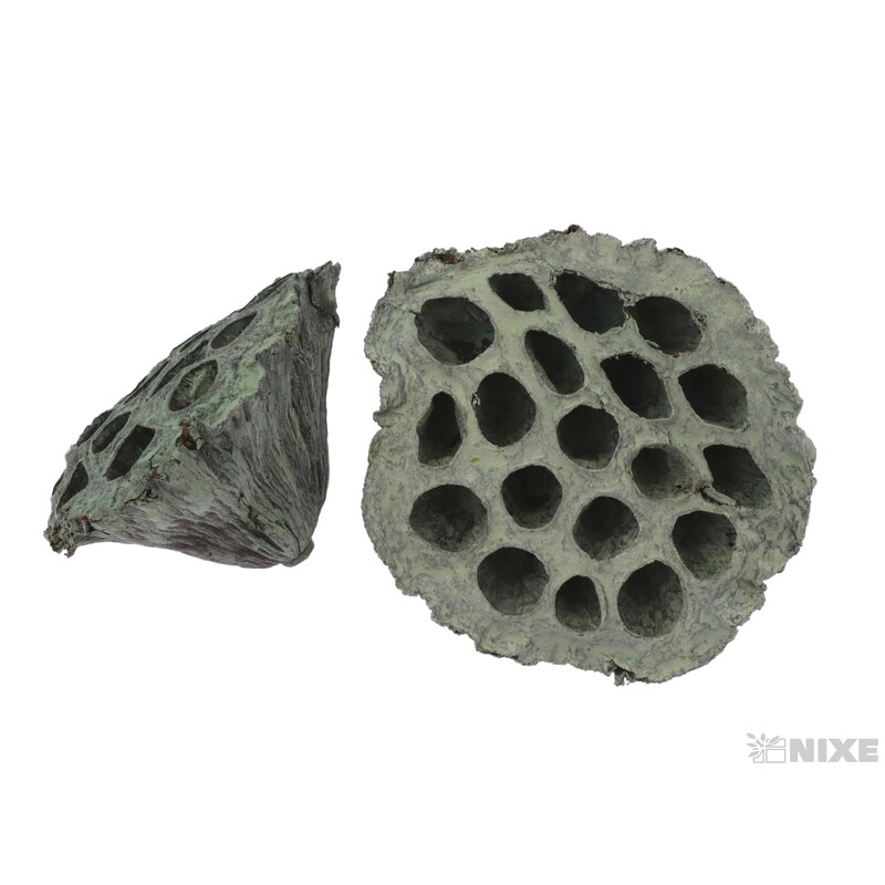 LOTOS 5-8cm 40ks*ŠEDÁ