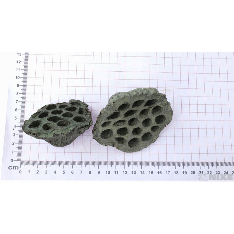 LOTOS 5-8cm 40ks*ŠEDÁ