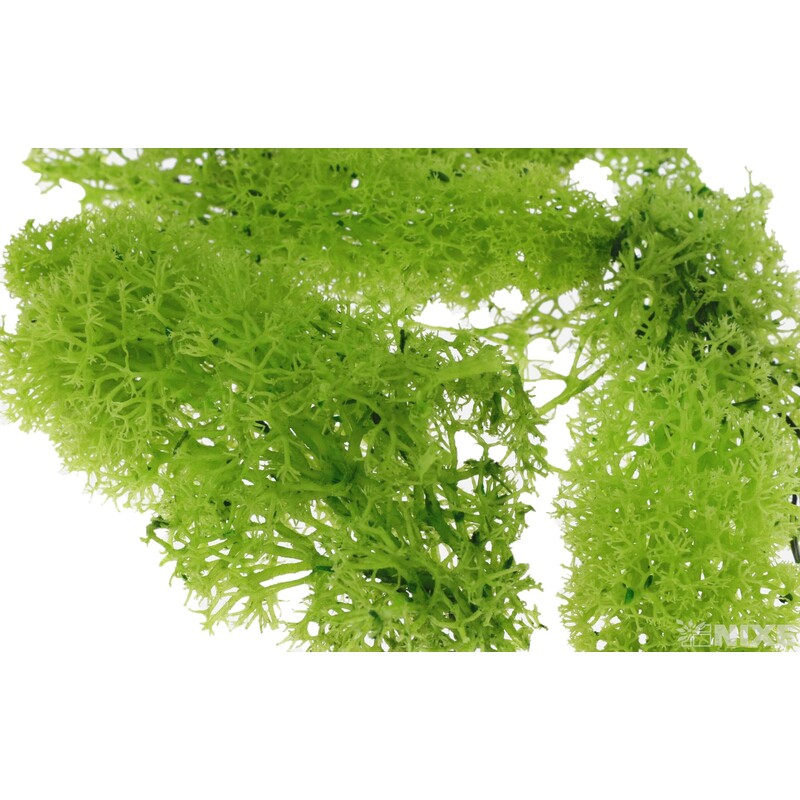 MECH 500g*ZELENÁ SV.