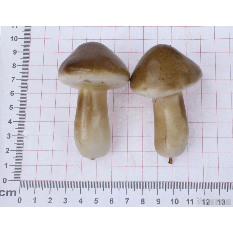 HŘÍBKY 7cm 5ks*HNĚDÁ