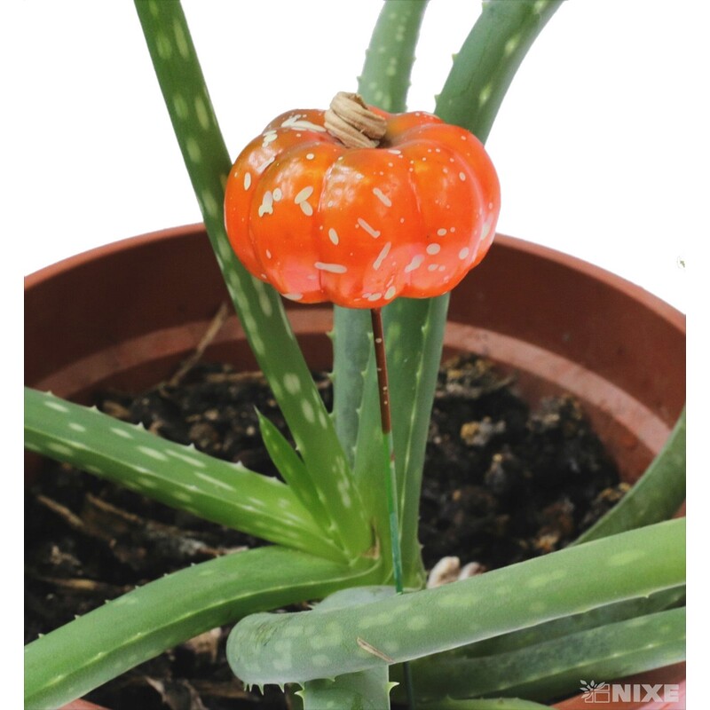 ZÁPICH DÝNĚ 4x13cm 6ks*ORANŽOVÁ