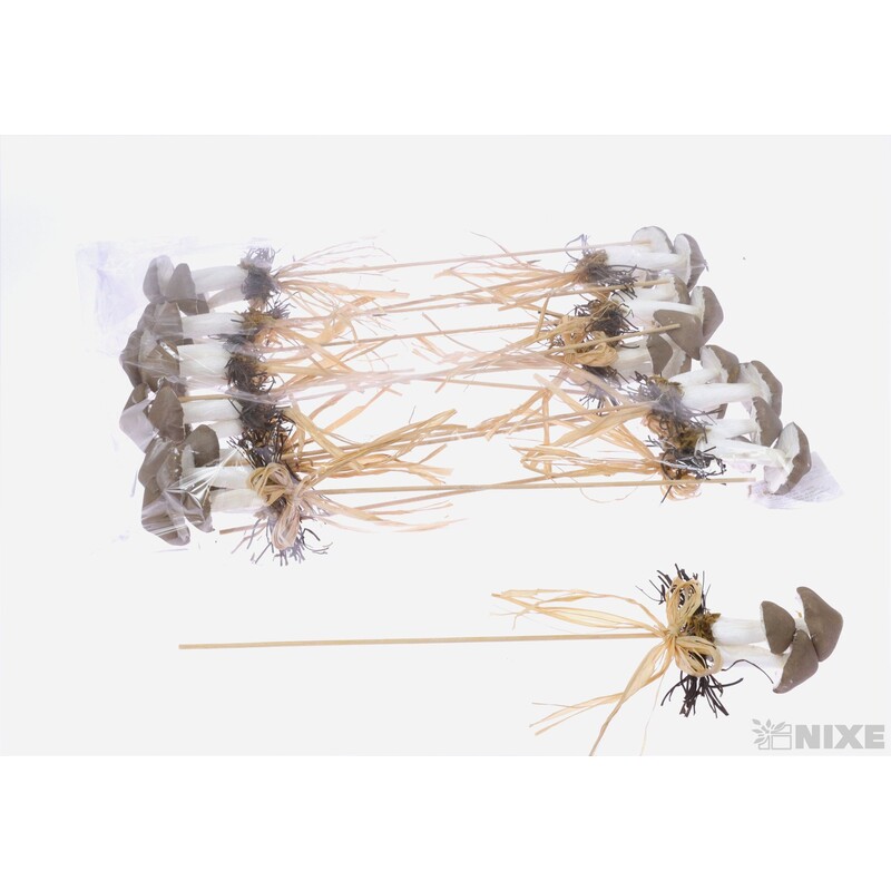 ZÁPICH HŘÍBEK 12ks 6x33cm*HNĚDÁ