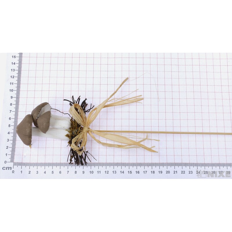 ZÁPICH HŘÍBEK 12ks 6x33cm*HNĚDÁ