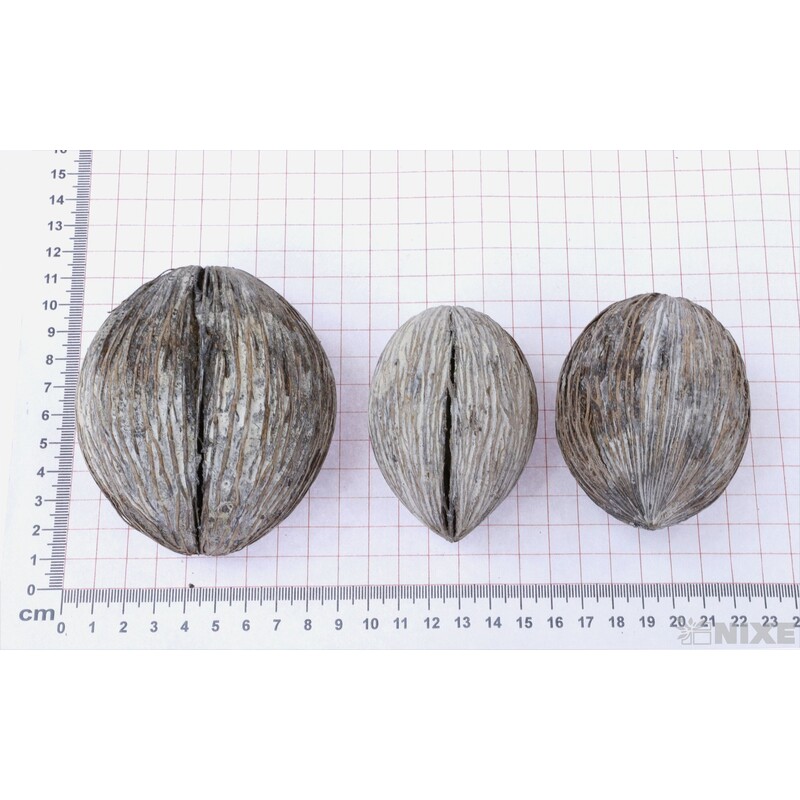 MINTOLA BALL 7-9cm 14ks*BÍLÁ