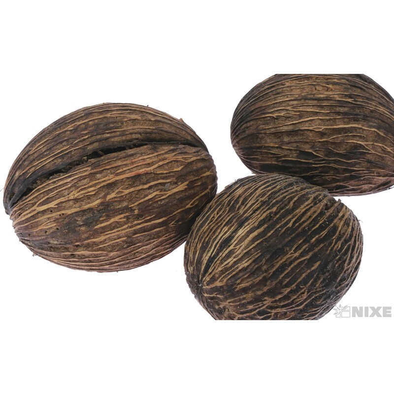 MINTOLA BALL 7-9cm 14ks*PŘÍRODNÍ