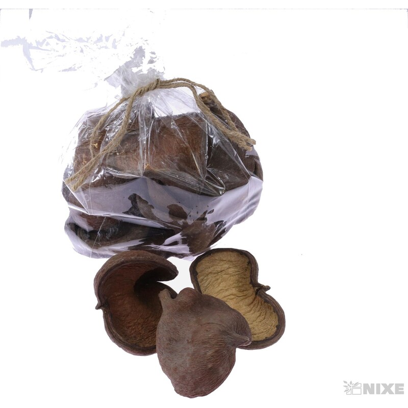 BADAM NUT 8-9cm 15ks*PŘÍRODNÍ