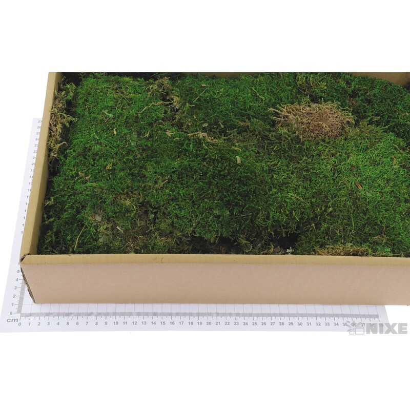 MECH FLAT 500g*ZELENÁ