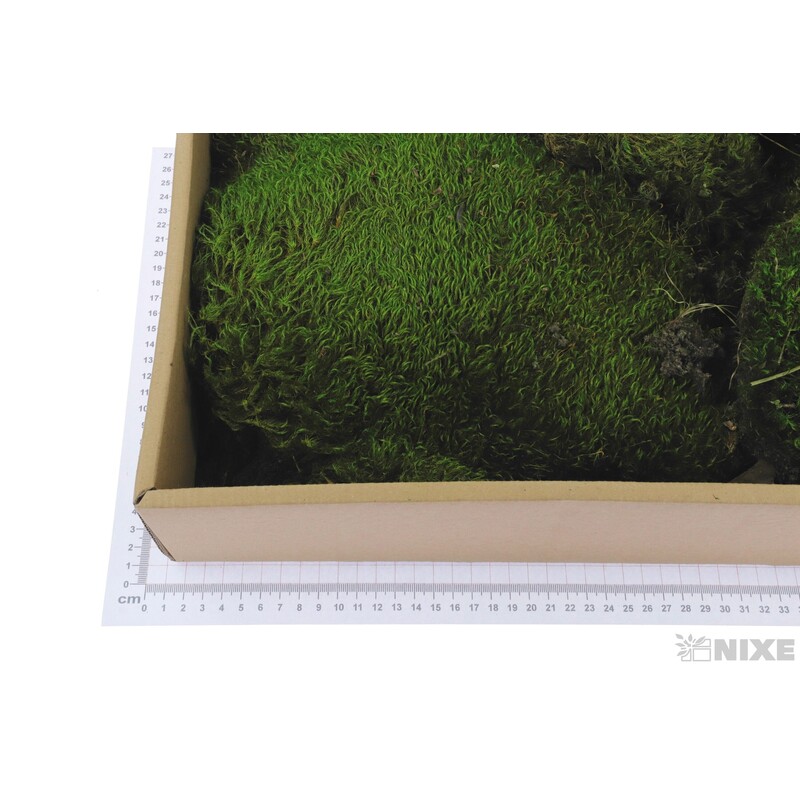 MECH POLL 500g*ZELENÁ