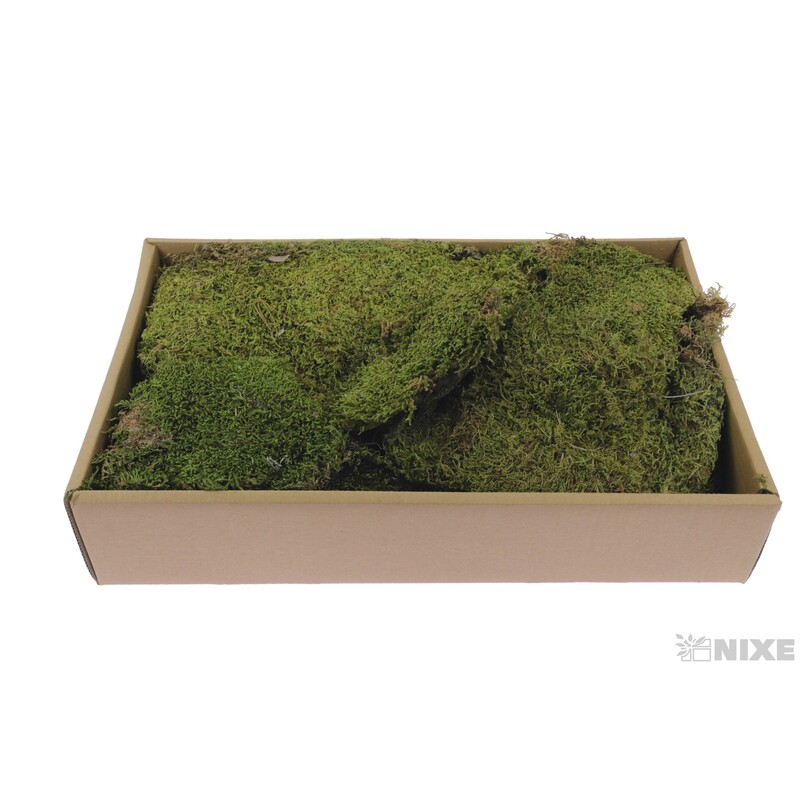 MECH FLAT 500g*ZELENÁ SV.