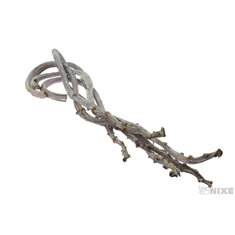 BANANA STICK 70cm 5ks*BÍLÁ