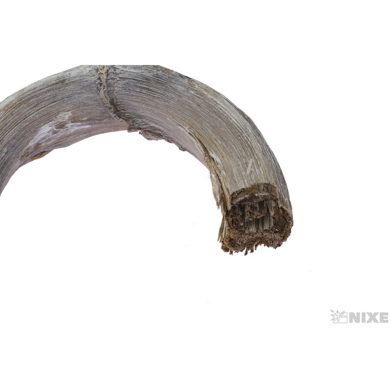 BANANA STICK 70cm 5ks*BÍLÁ