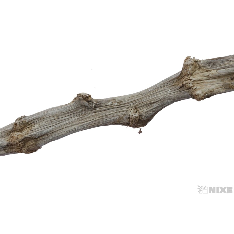 BANANA STICK 70cm 5ks*BÍLÁ