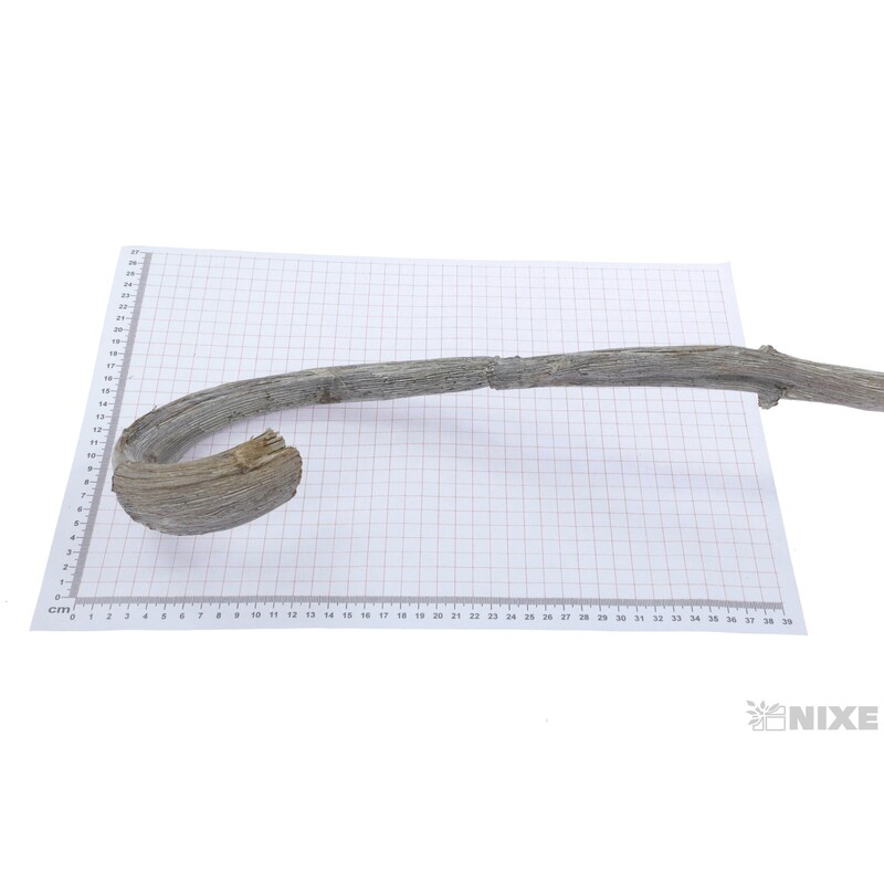 BANANA STICK 70cm 5ks*BÍLÁ