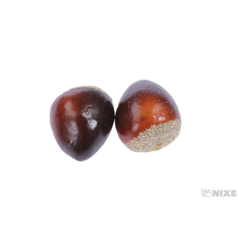 KAŠTAN 3cm 8ks*HNĚDÁ