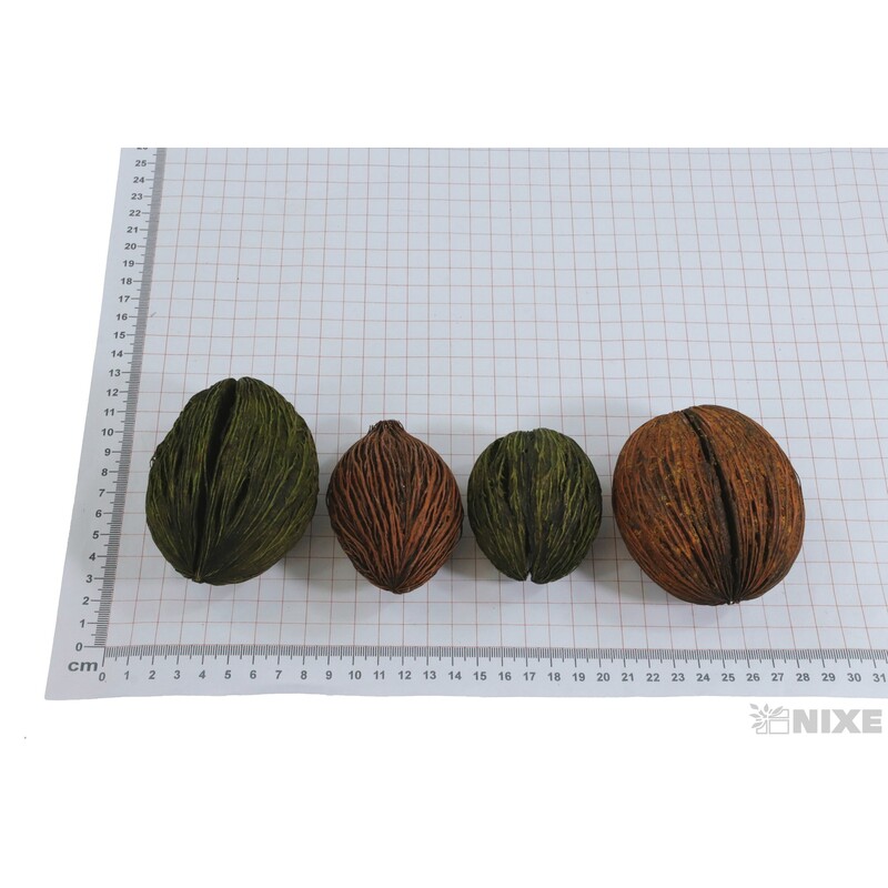 MINTOLA BALL 7-9cm 14ks*ORANŽOVÁ+ZELENÁ