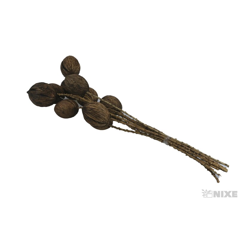 MINTOLA BALL TWIG STEM 60cm 10ks*PŘÍRODNÍ