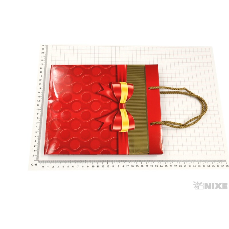 TAŠKA X 20x24x10cm*