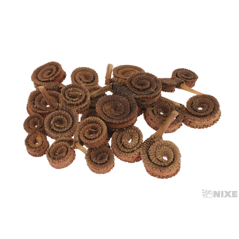 RAMS HORN 12ks*HNĚDÁ