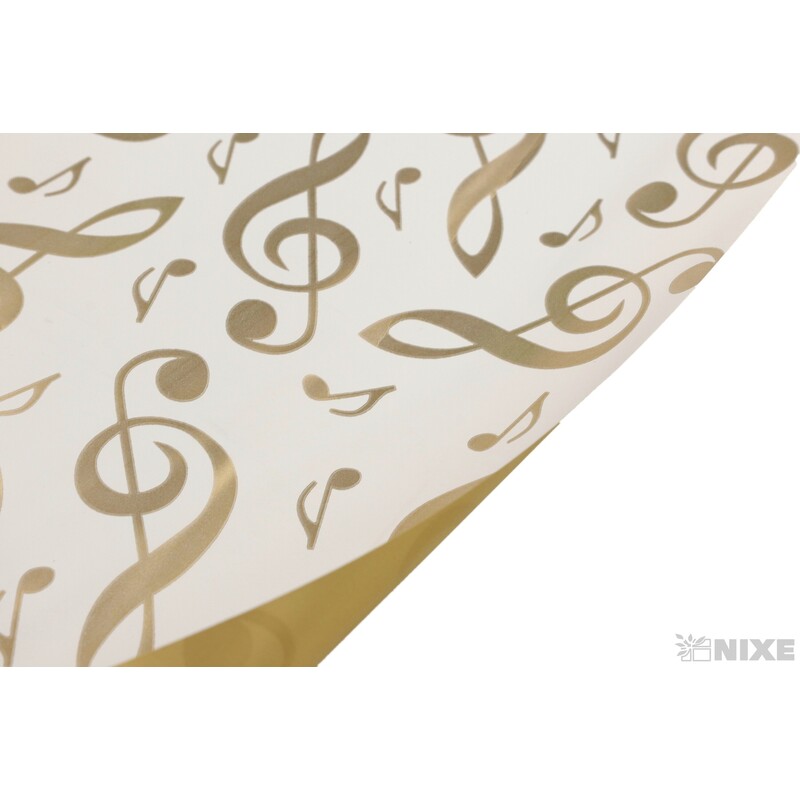 ROLE B-T71PM 70cmx40m*BÍLÁ