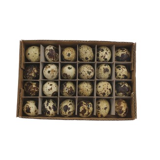 VAJÍČKA KŘEP. 3cm 24ks*PŘÍRODNÍ