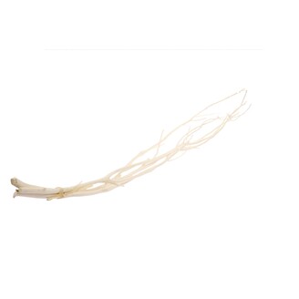 MITSUMATA STANDARD 90-117cm 3ks*BÍLÁ