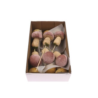 ZÁPICH HŘÍBEK 12ks 10x25cm*MIX BAREV