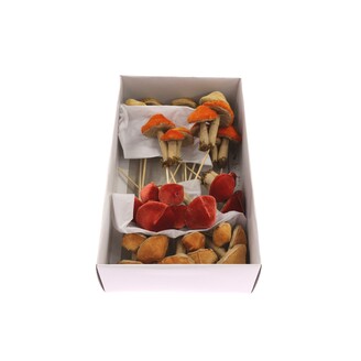 ZÁPICH HŘÍBEK 12ks 08x26cm*MIX BAREV